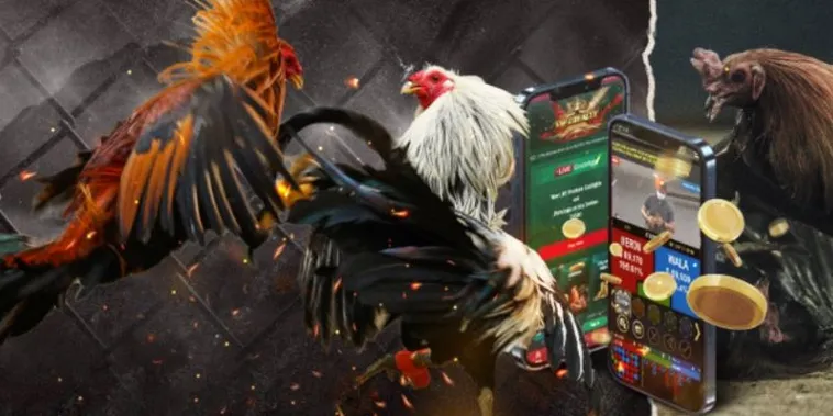 Chinh Phục Đá Gà GA28 FB88 Ngay Hôm Nay Để Thắng Lớn